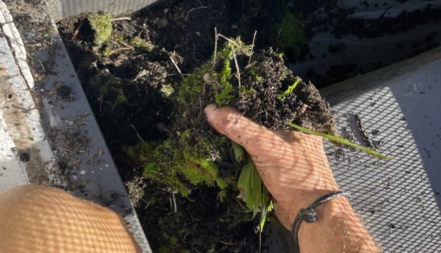 6BC50054-A545-465A-8301-5056B5B234D3_1_105_c