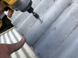 D33A061C-B53A-4A1E-9D30-E880899CD84D_1_105_c